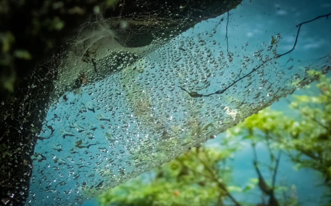 Windshield Water Leak Repair That Protects Your Car and Your Peace of Mind